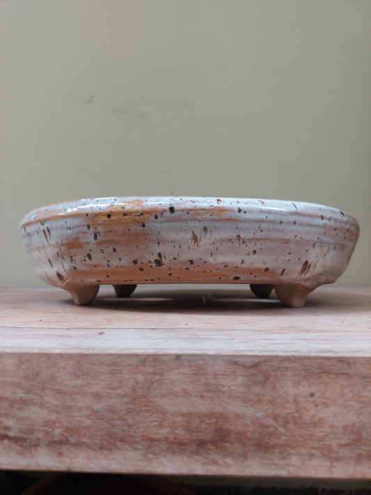 Vaso Oval
