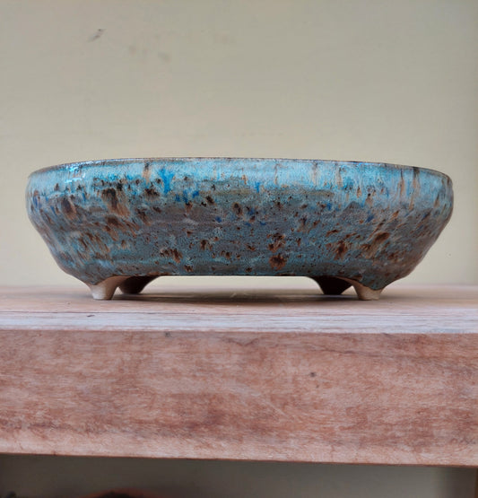 Vaso Oval